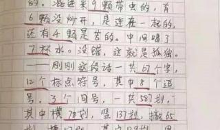 关于寒假趣事的作文 关于寒假趣事的作文