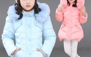 学问猫片头曲叫什么 系列动画教学片《学问猫教汉字》_跟着学问猫学知识,情节有趣又好玩